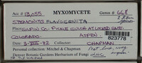 Image Associated With the Occurence